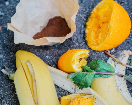 2025.04.07_Recycling _ 00072