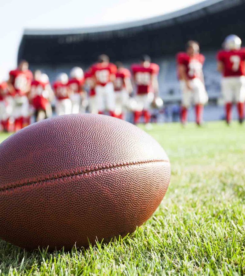 shutterstock_287452559_Melinda Nagy